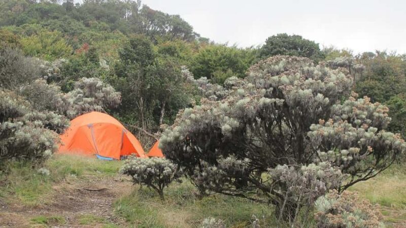 Mount Gede: 2-Day Hiking and Camping Adventure from Jakarta - An In-Depth Look at the Mount Gede 2-Day Tour