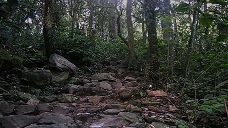 Mount Gede: 2-Day Hiking and Camping Adventure from Jakarta - Final Thoughts