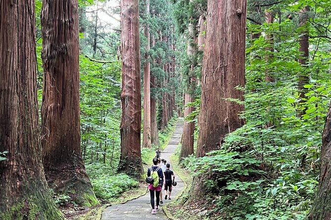 mount-haguro-e-bike-sightseeing-tour-in-yamagata-japan