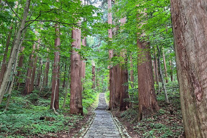 mount-haguro-e-bike-sightseeing-tour-in-yamagata-japan