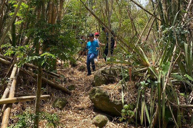 mount-healthy-national-park-private-hike-tour-in-tortola