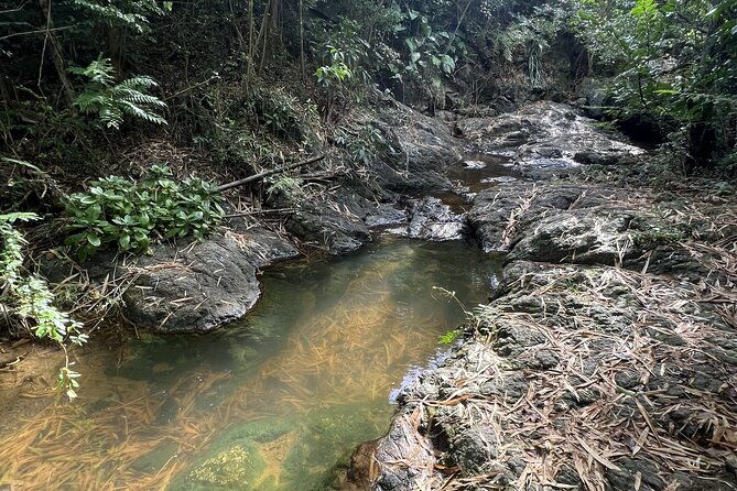 mount-healthy-national-park-private-hike-tour-in-tortola