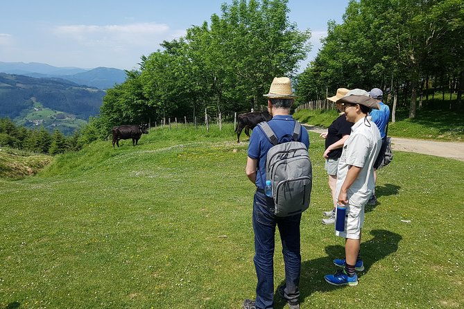 mount-hernio-hiking-tour-from-san-sebastian
