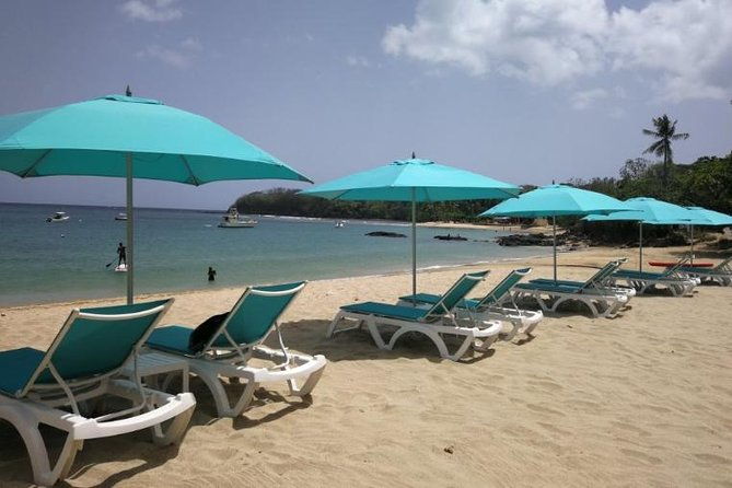 mount-irvine-bay-day-trip-with-lunch