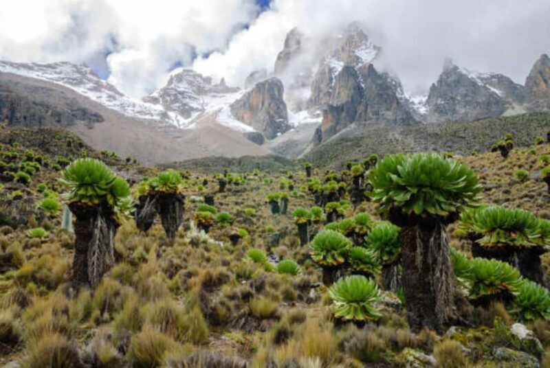 Mount Kenya Tour from Nairobi with lunch - Exploring the Mount Kenya Tour from Nairobi with Lunch: An Authentic Daytrip