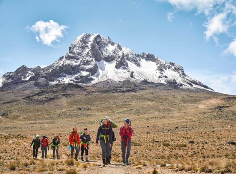 Mount Kenya Tour from Nairobi with lunch - What’s Included and What to Consider