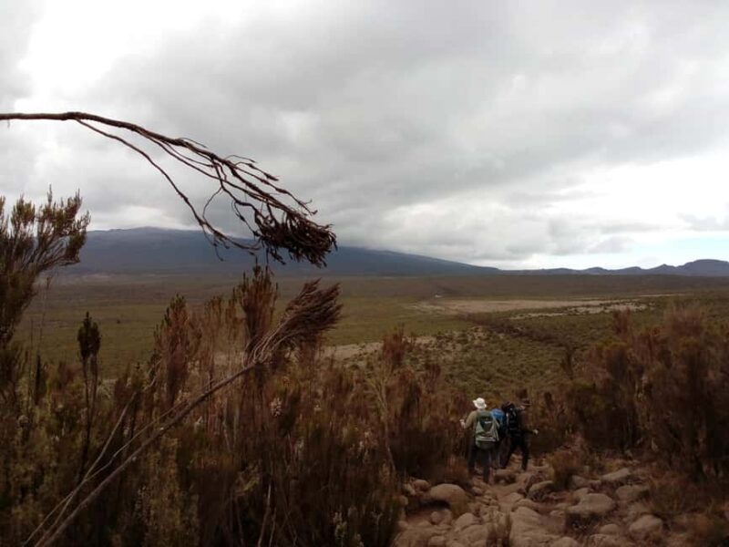 Mount Kilimanjaro: 6-Day Machame Route Christmas Trek - An Introduction to the Kilimanjaro Christmas Trek Experience