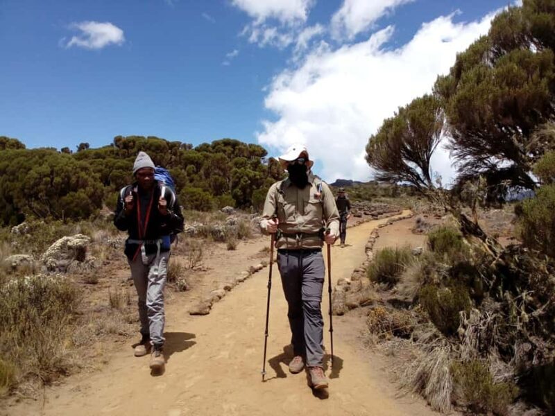 Mount Kilimanjaro: 6-Day Machame Route Christmas Trek - What to Expect on the 6-Day Machame Route Christmas Trek