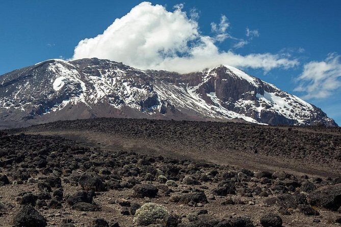 Mount Kilimanjaro 6 days - Machame route - Authentic Insights from Reviewers