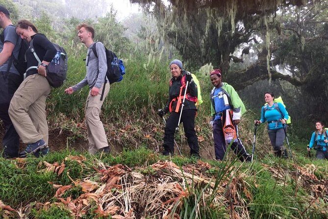 Mount Kilimanjaro 6 days - Machame route - Final Thoughts: Is This Tour Right for You?
