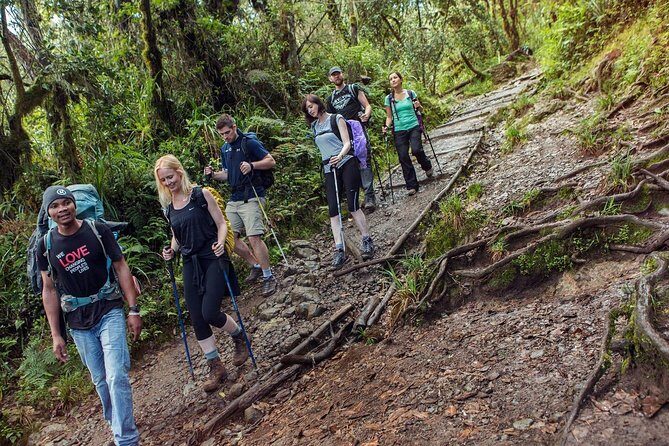 Mount Kilimanjaro 7 Days - Machame Route - FAQs
