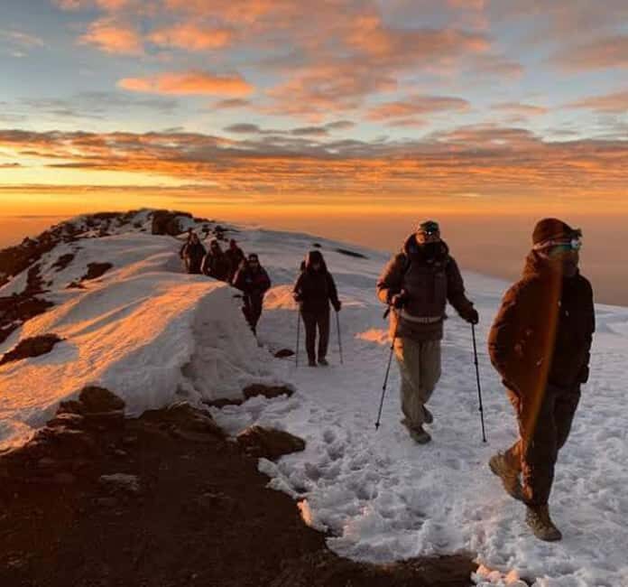 Mount Kilimanjaro: 7 Days Trekking - Lemosho Route - Final Thoughts: Is This Kilimanjaro Tour Right for You?