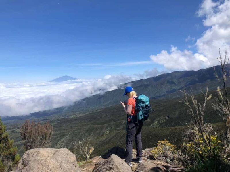 Mount Kilimanjaro Climbing in Tanzania Full-Day Trip - Authentic Experiences and Tangible Value