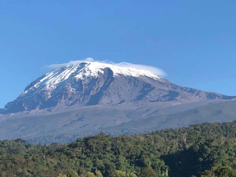 Mount Kilimanjaro Climbing in Tanzania Full-Day Trip - Final Thoughts