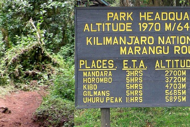 Mount Kilimanjaro Day Hike Through Marangu Route to Mandara Hut - Exploring the Itinerary in Detail