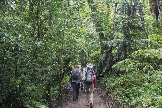 Mount Kilimanjaro Day Hike Through Marangu Route to Mandara Hut - Final Thoughts