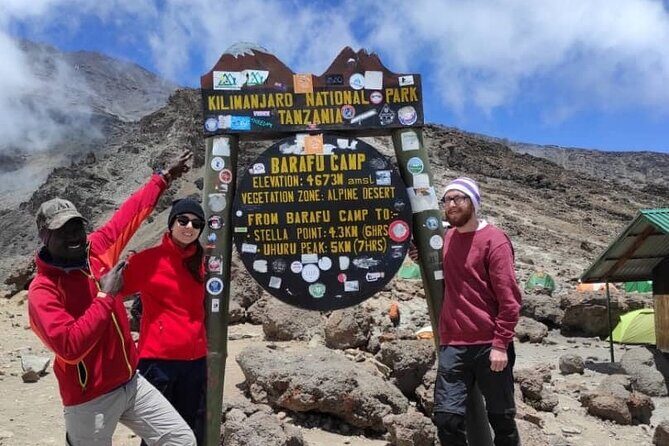 Mount Kilimanjaro - Machame route - Day 7: Descent to Mweka Gate