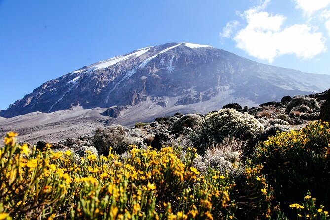 Mount Kilimanjaro Rongai Route - Who Should Consider This Tour?