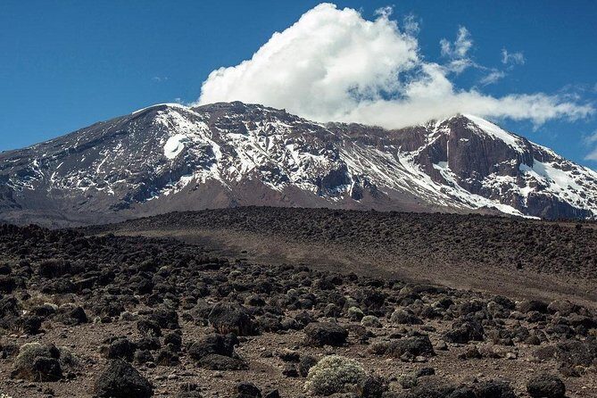 Mount Kilimanjaro Trek 7-Days: Lemosho Route - The Sum Up