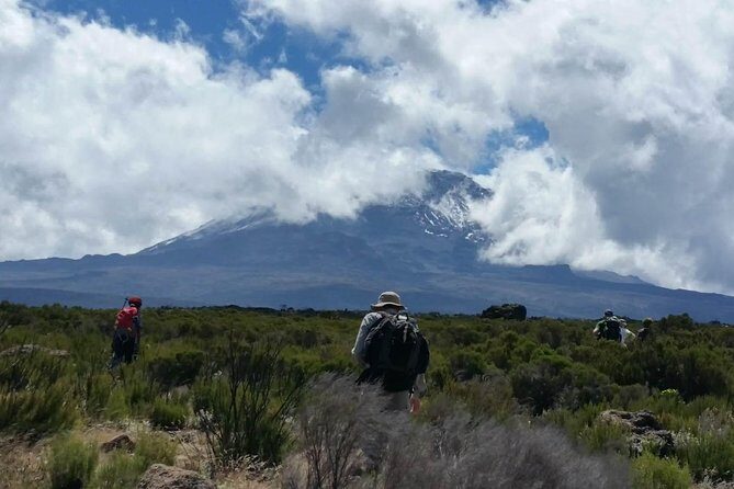 Mount Kilimanjaro Trek 8 days Lemosho Route - Cost and Value: Is It Worth It?