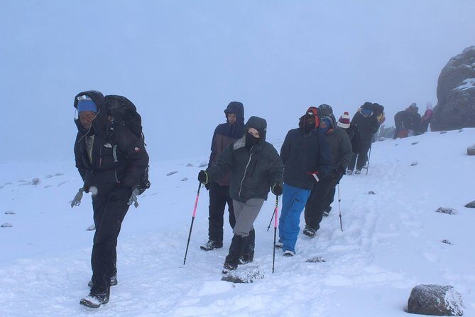 Mount Kilimanjaro Trek 8 days Lemosho Route - The Sum Up: Why Choose the 8-Day Lemosho Route?