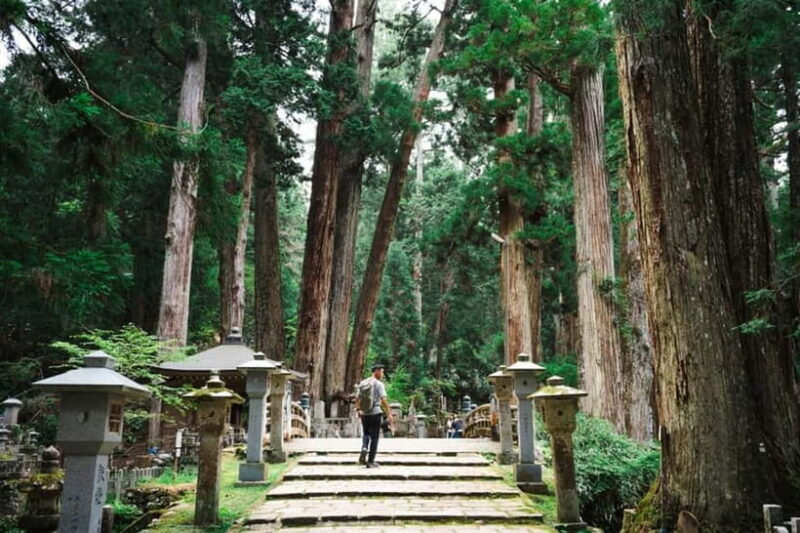 Mount Koya from Osaka: Cultural Small Group Day Tour - Key Points