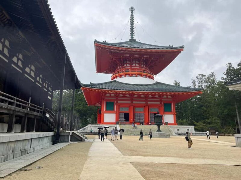 Mount Koya: Full-Day Private Guided Tour from Osaka - Exploring Danjo Garan: The Heart of Shingon Buddhism