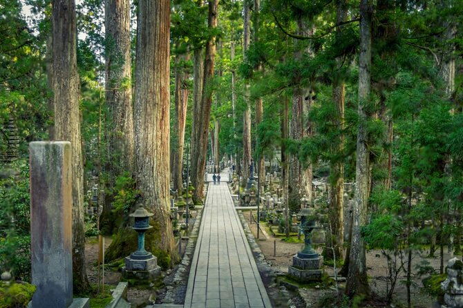 mount-koya-wakayama-and-nachi-waterfall-tour