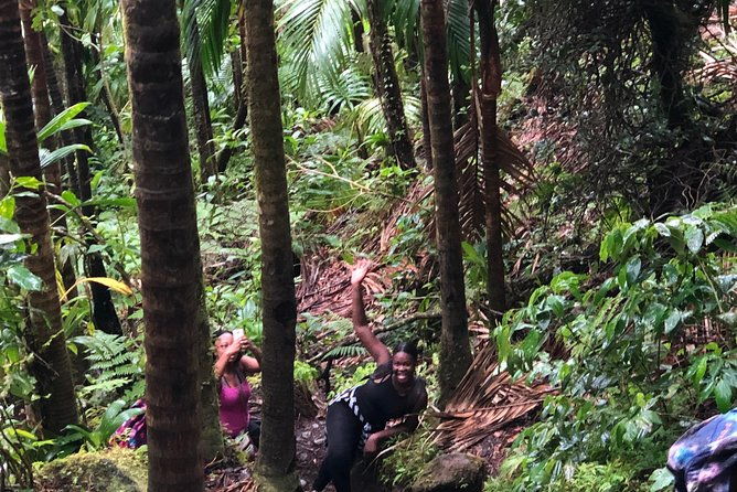 mount-liamuiga-volcano-tours