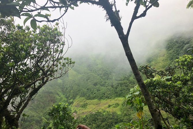 mount-liamuiga-volcano-tours