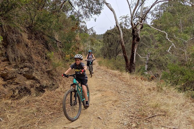 Mount Lofty Descent Bike Tour from Adelaide - Reviews from Past Participants