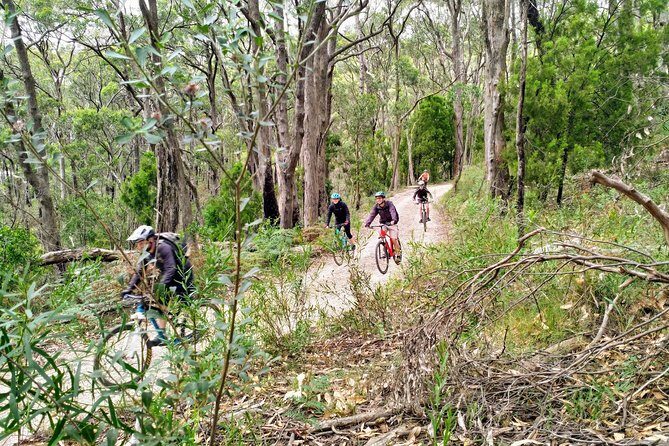 Mount Lofty Descent Bike Tour from Adelaide - Frequently Asked Questions