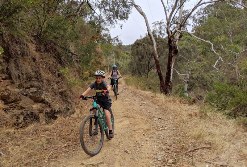 Mount Lofty Downhill Bike Tour & Cleland Wildlife Park Visit - The Practical Side