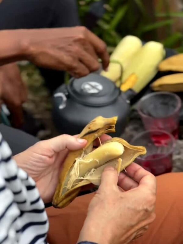 Mount Merapi Soft Trekking With Forest Conservation Tour - FAQs