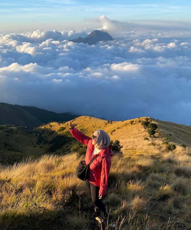 Mount Merbabu Edelweiss & Savanna Views tour from Yogyakarta - Key Points