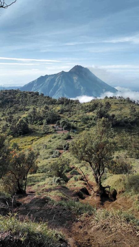 Mount Merbabu Edelweiss & Savanna Views tour from Yogyakarta - An In-Depth Look at the Mount Merbabu Tour