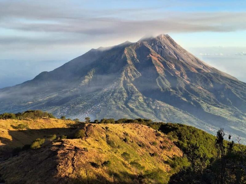 Mount Merbabu Edelweiss & Savanna Views tour from Yogyakarta - The Sum Up