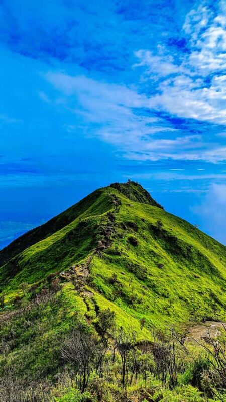 Mount Merbabu Edelweiss & Savanna Views tour from Yogyakarta - FAQ