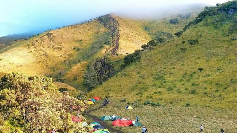 Mount Merbabu: Hiking and Camping Adventure - The Experience in Detail