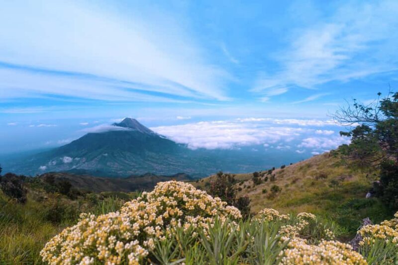 Mount Merbabu Sunrise with Transport, Ticket All Inclusive - Who Should Consider This Tour?