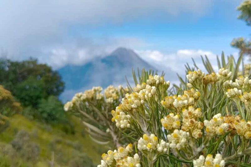 Mount Merbabu Sunrise with Transport, Ticket All Inclusive - Final Thoughts: Is It Worth It?