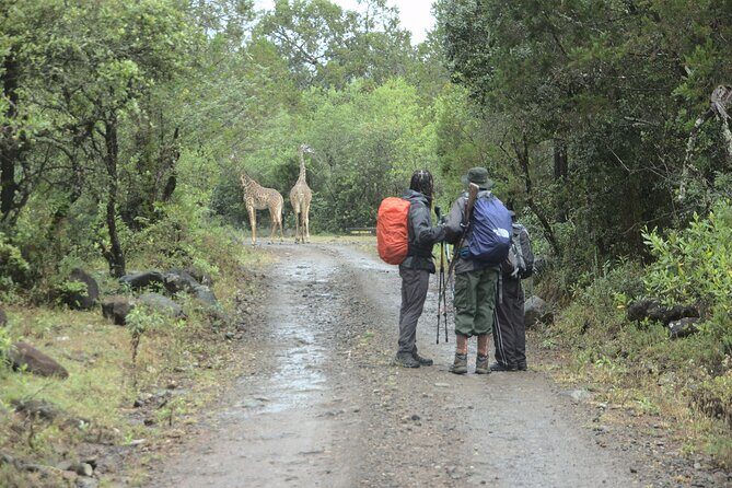 mount meru 4 days hike - Why This Trek Offers Great Value