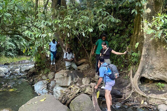 Mount Meru Arusha Napuru Waterfall Hike by Kingstone Asilia - The Sum Up