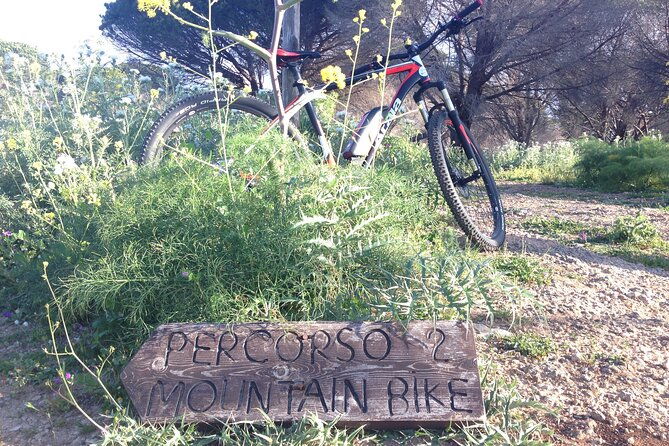 mount-pellegrino-mtb-experience