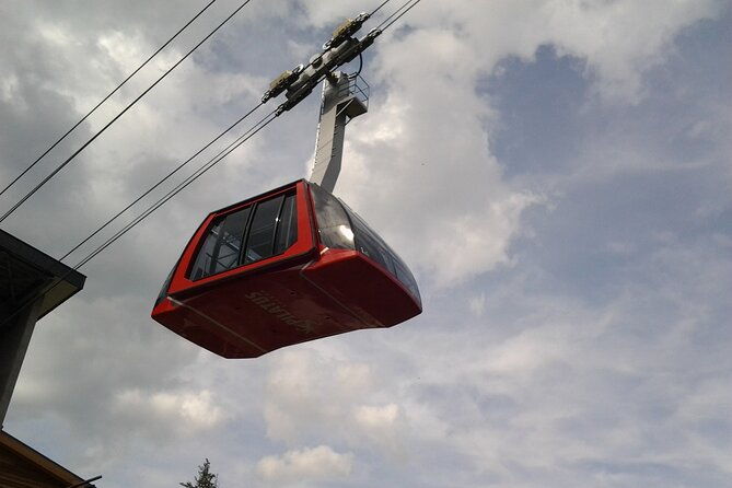 mount-pilatus-in-winter-small-group-tour-from-luzern-3