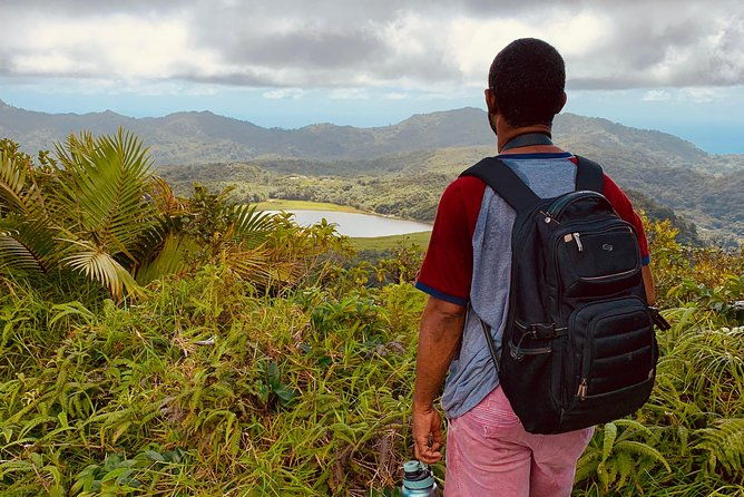 mount-qua-qua-hiking-adventure-from-grand-etang-lake