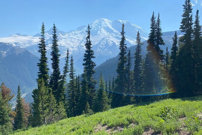 mount-rainier-day-hike-2