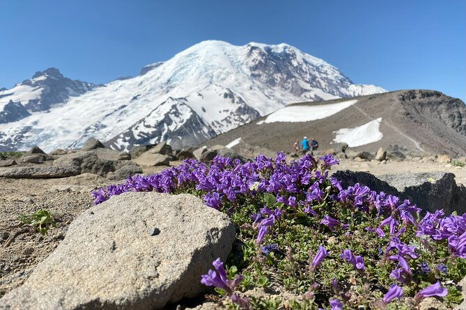 mount-rainier-day-hike