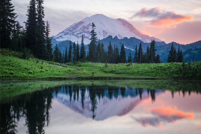 mount-rainier-full-day-private-tour-and-hike-seattle