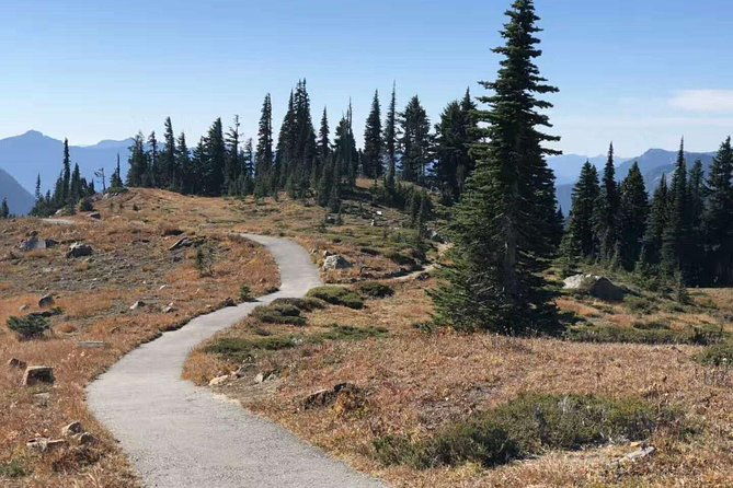 mount-rainier-national-park-day-tour-from-seattle